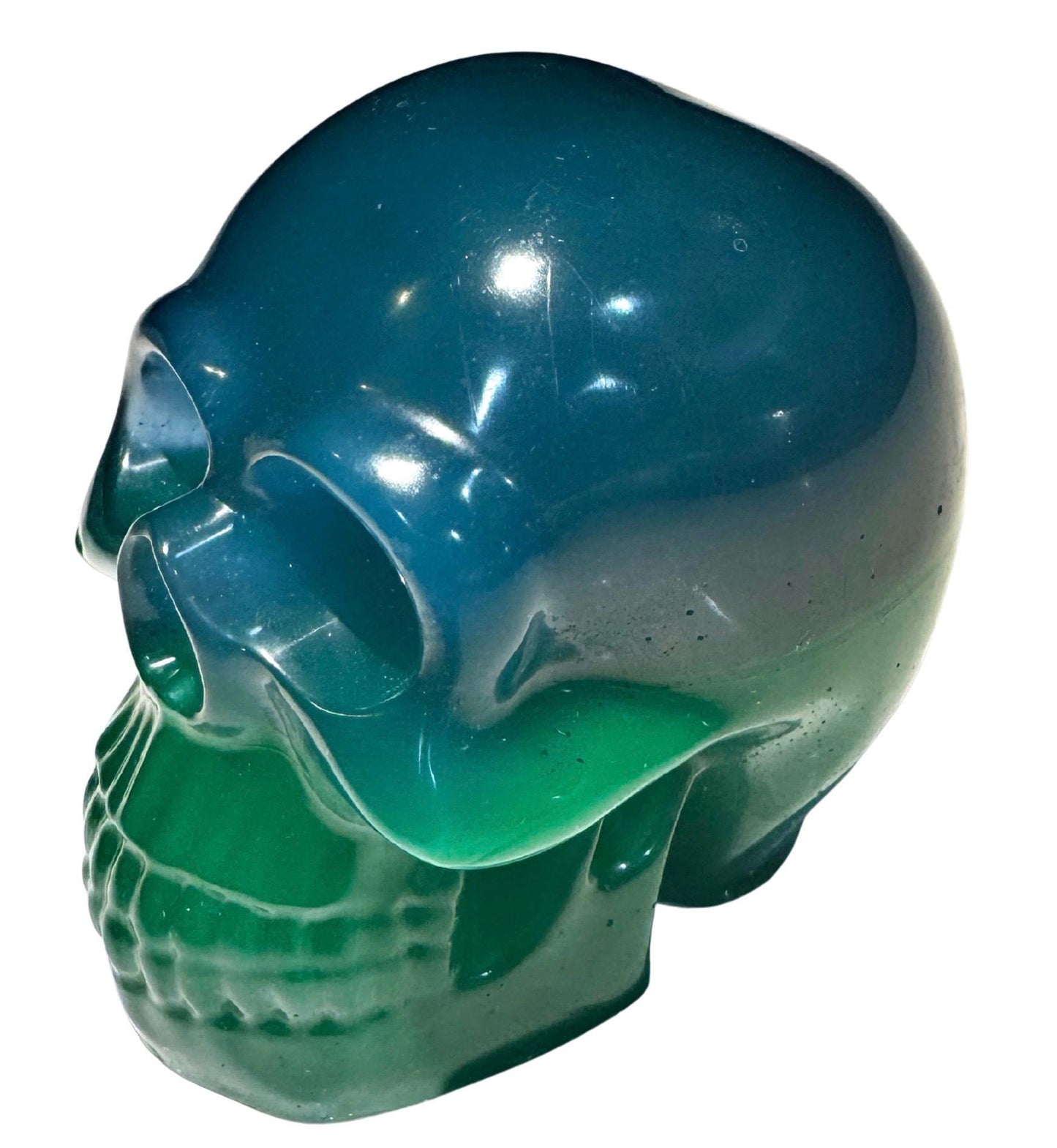Epoxy Resin Skull - Large